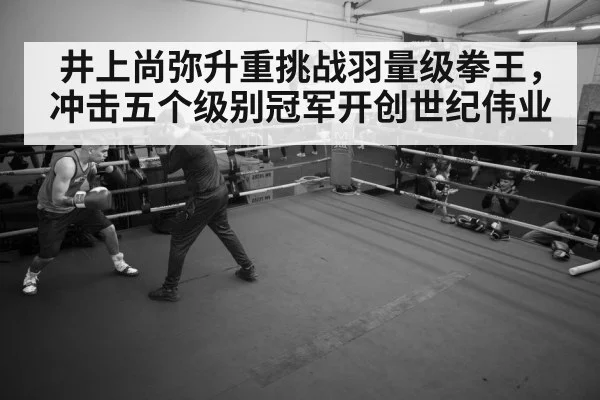 boxer training session