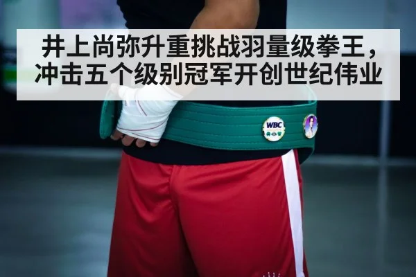 boxing championship belt