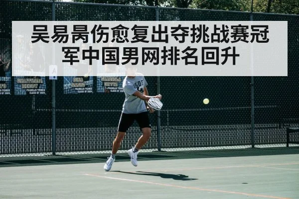 tennis court action shot